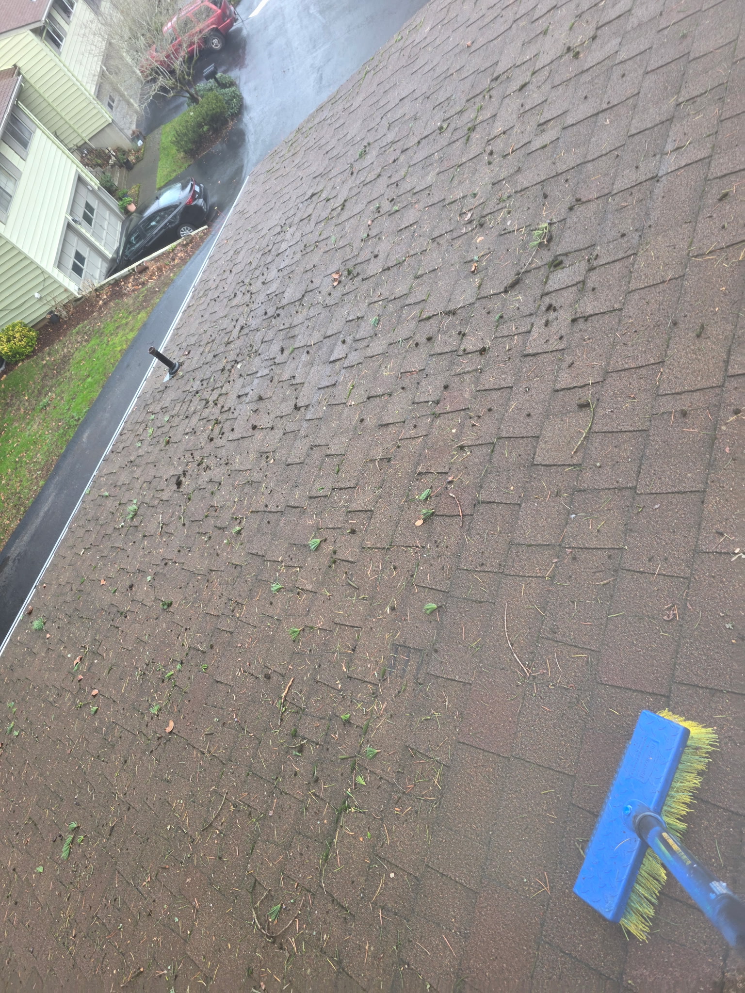 Before: Heavy debris and clogged gutters